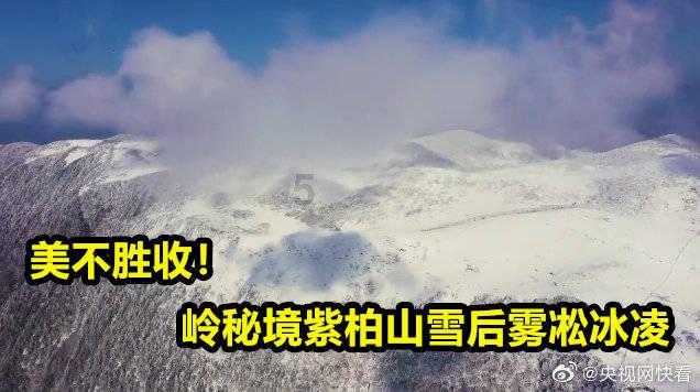 携华出行app内置导航怎么切换